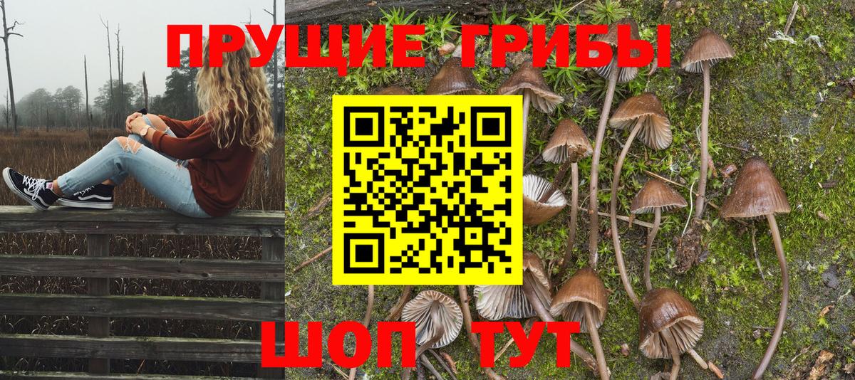 Псилоцибиновые грибы Magic Shrooms Иваново