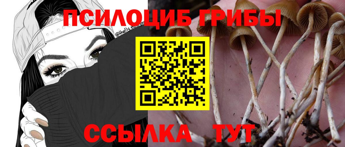 Галлюциногенные грибы мицелий  Вход с VPN  Иваново 